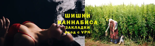 молекула духа Надым