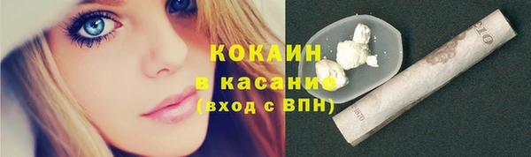 молекула духа Надым