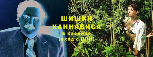 молекула духа Надым