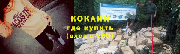 молекула духа Надым