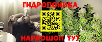 стафф Кимры