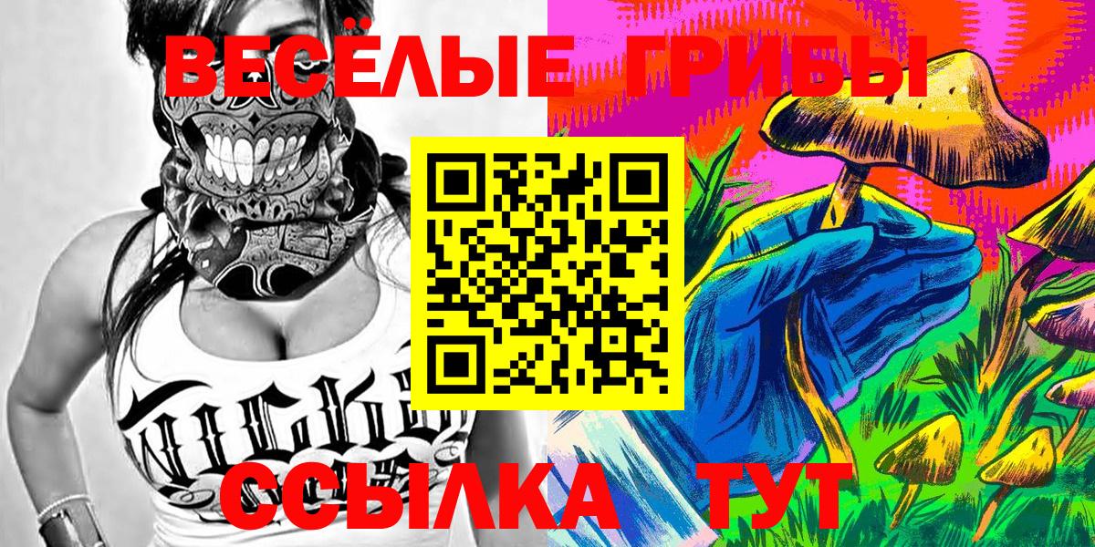 даркнет сайт  Псилоцибиновые грибы Psilocybe  Вход с VPN  Похвистнево 